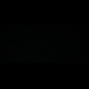 Meet your Posher, Lorissa